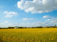 20220518_104603-BQi68Zuv
