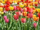20220520_223012-3TiqGDRF