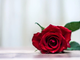 20220526_095551-kWkNLcAa