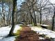 trail-261308_960_720-Cp1Ao1WZ