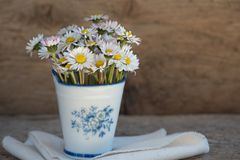 daisies-1346049_960_720-STbTjj3K