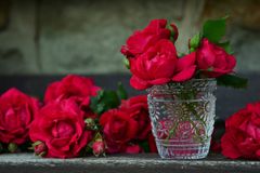 roses-821705_1280-h3tZKRhC