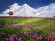 mountains-736886_1280-6wIDhlu9