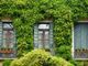 window-7169327_1280-fvGyLQK8