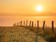 sunset-6303992_1280-rvtYSAZQ