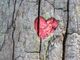 heart-8173525_1280-ag2F5VD1