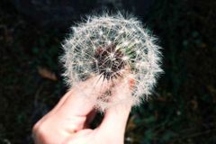 blog-psalm46-morning-tQtue6BT
