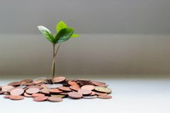 성경적 청지기 달란트 재정