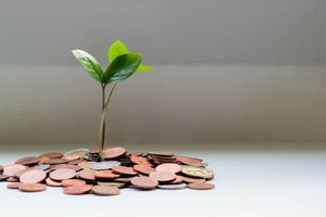 성경적 청지기 달란트 재정