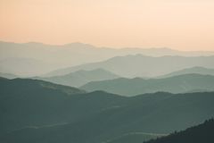 육월 햇살 아래 초록 들판