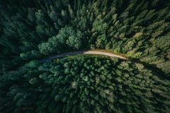 야고보서 1:19-20 다시 읽기 — 듣기를 먼저 배운다는 믿음 대표 이미지