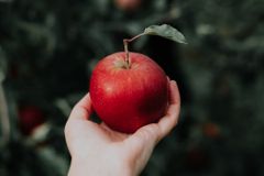 Pastor elenca 3 lições para o cristão superar a tentação e vencer o pecado