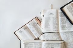 Dia da Bíblia: a origem da data e como as Escrituras influenciam o mundo