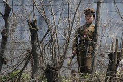 Regime norte-coreano tortura e lança cristãos a cães famintos, diz entidade internacional