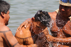 Mais de 40 indígenas descem às águas em batismo no Rio Tocantins