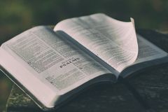 Como entender o livro de Salmos