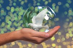 A humanidade vai alcançar a tão desejada paz mundial? Veja o que a Bíblia diz sobre isso