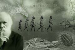Por que Darwin se destacou no mundo científico?