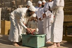 Sacrifício de animais para o Terceiro Templo é proibido em Jerusalém