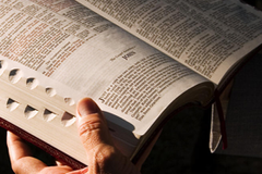 O que é um cristão reformado?