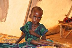 Igreja pede ajuda para alimentar pessoas e rebanhos na Etiópia: "Salvem nosso povo"