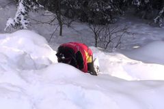 Soterrado por avalanche, jovem é salvo após o irmão ouvir a voz de Deus