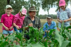 Após sonho, fazendeiro testemunha colheita sobrenatural em seca: "Semeamos com fé"