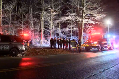 Pai e filha sobrevivem a grave acidente de avião: "Deus me salvou"