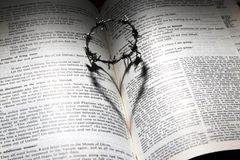 Existe um amor que vai além da reciprocidade