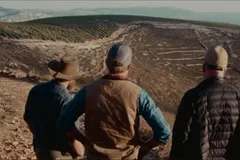 Cristãos plantam árvores em Israel para o "cumprimento da profecia bíblica"