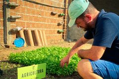 Igreja implanta projeto de sustentabilidade em comunidade do Nordeste