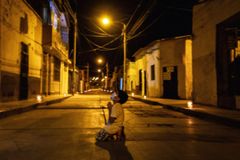 Menino emociona ao se ajoelhar na rua para orar contra a pandemia do coronavírus | Notícias Gospel