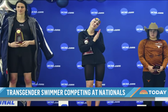 Federação Internacional de Natação dificulta transgêneros em competições femininas