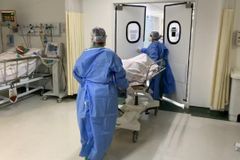 "Quero ir até a igreja e orar", diz idosa de 87 anos após ficar curada da Covid-19 | Notícias Gospel