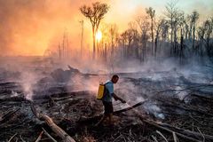 Líderes cristãos pedem ação urgente para combater a mudança climática