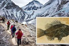 Fósseis marinhos encontrados no topo do monte Everest podem ser a prova do dilúvio bíblico