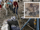 Mosaicos descobertos em sinagoga mostram existência de Débora e Jael, do AT