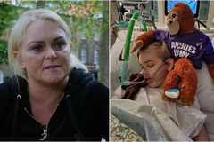 Pais de menino desenganado pedem que ele vá para outro hospital