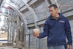 Arqueólogos encontram novas provas da destruição do Segundo Templo, em Jerusalém