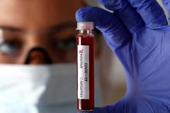 No desespero contra Covid-19, evangélicos injetam remédio veterinário em cinco mil pessoas | Notícias Gospel