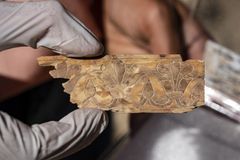 Marfins citados nos livros de Reis e Amós são descobertos em Israel