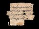 Família americana doa papiro rado de 2700 anos para Israel