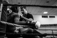 Conselho mundial de boxe proíbe homens biológicos em lutas femininas