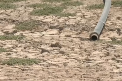 Como a seca do Rio Eufrates aponta para a profecia de Jeremias
