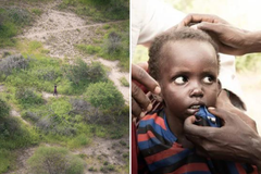 Piloto encontra menino de 4 anos ileso após 6 dias perdido em selva: ‘Foi um milagre’