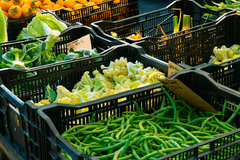 Organização cristã alerta para fome crescente no Reino Unido