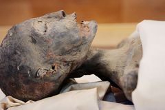 DNA de múmias pode ajudar a comprovar relato bíblico sobre origem dos egípcios