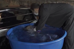 Pastor leva tanque à casa de mulher para batizá-la durante a quarentena