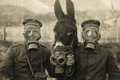 Primeira Guerra Mundial: relembrando o horror