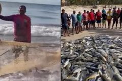 Pescadores oram após pescar milhares de peixes: "Agradecendo a Deus pela bondade"